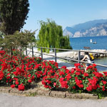 Camping Campagnola a Malcesine sul lago di Garda